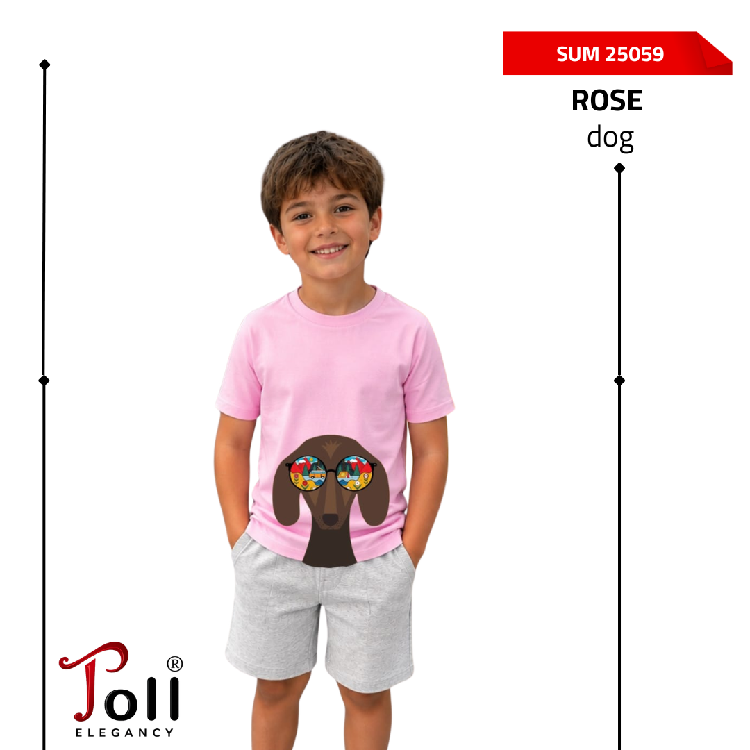 Stylish boys’ casual t-shirt